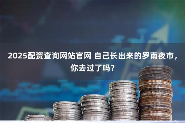 2025配资查询网站官网 自己长出来的罗南夜市，你去过了吗？