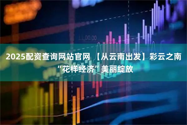 2025配资查询网站官网 【从云南出发】彩云之南 “花样经济”美丽绽放